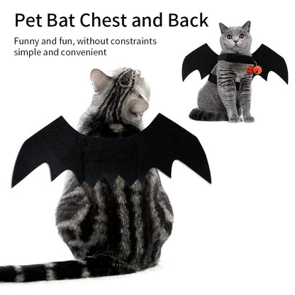 PawBat Costume – Funny Pet Bat Wings for Cats & Dogs | Halloween & Xmas Outfit