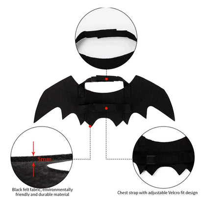 PawBat Costume – Funny Pet Bat Wings for Cats & Dogs | Halloween & Xmas Outfit